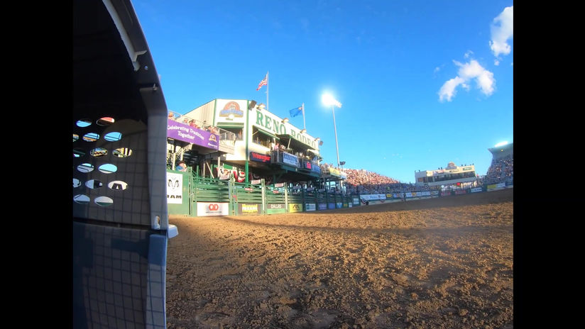 One Love Dove Rodeo Release 2019